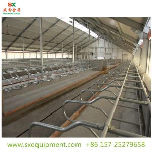 Stalláil Bó Saor in Aisce