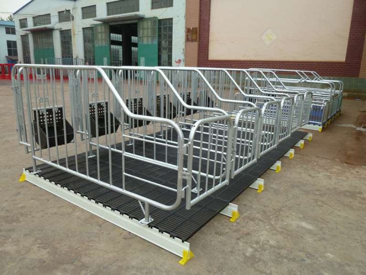 Crate Gestation Muc Le Fothaire