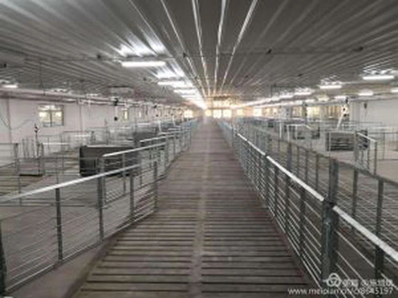 Pig Gestation Crate With Drinker Pig Gestation Crate With Drinker